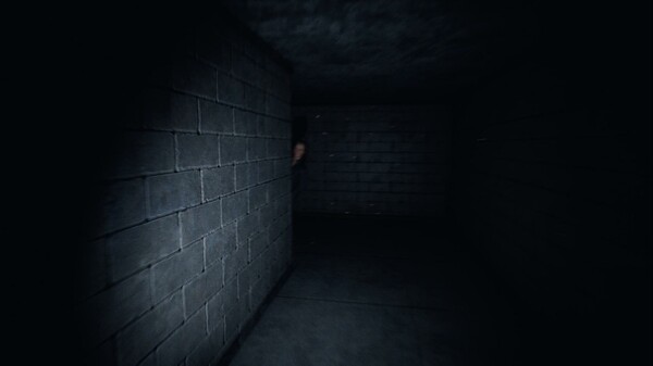 MIMICfor windows and Linux 1