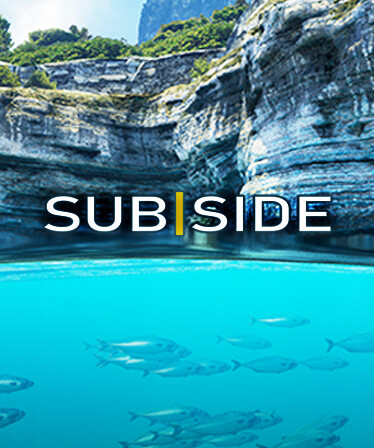 Subside