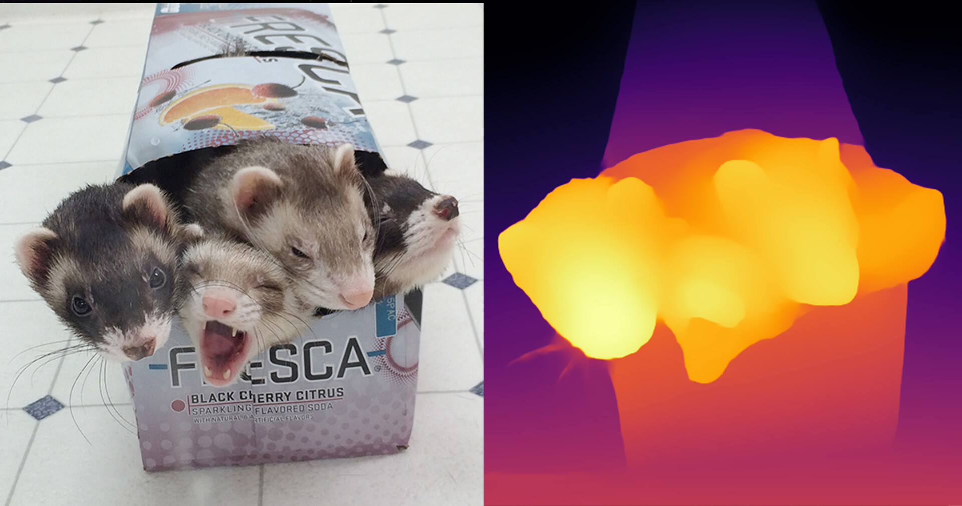 AutoDepth Image Viewer #5