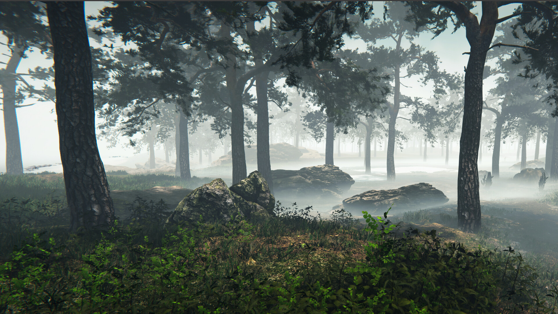 Nested Lands on Steam