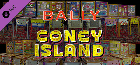 Bingo Pinball Gameroom - Bally Coney Island