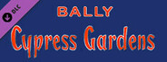 Bingo Pinball Gameroom - Bally Cypress Gardens