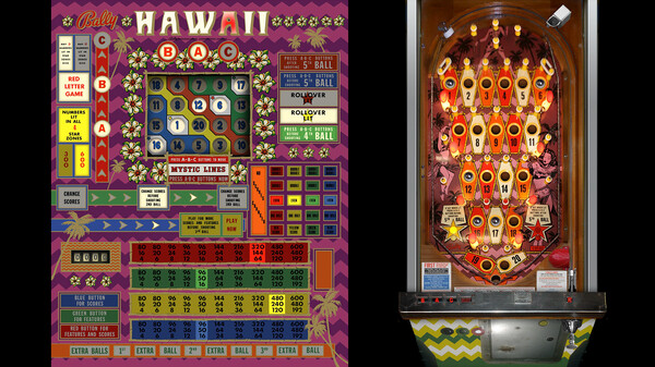 Bingo Pinball Gameroom - Bally Hawaii