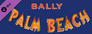 Bingo Pinball Gameroom - Bally Palm Beach
