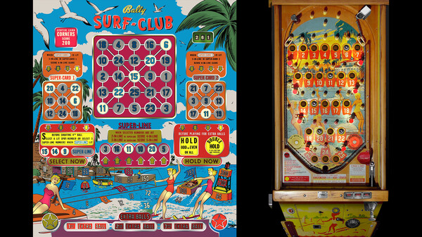 Bingo Pinball Gameroom - Bally Surf Club for steam Bingo Pinball Gameroom - Bally Surf Club for steam