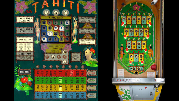 Bingo Pinball Gameroom - Bally Tahiti