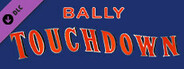 Bingo Pinball Gameroom - Bally Touchdown