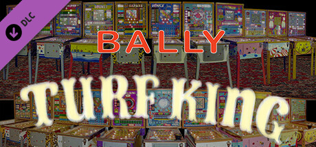 Bingo Pinball Gameroom - Bally Turf King