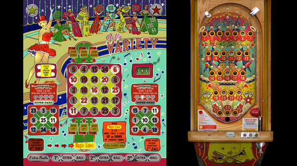 Bingo Pinball Gameroom - Bally Variety