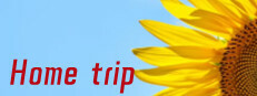 Home trip