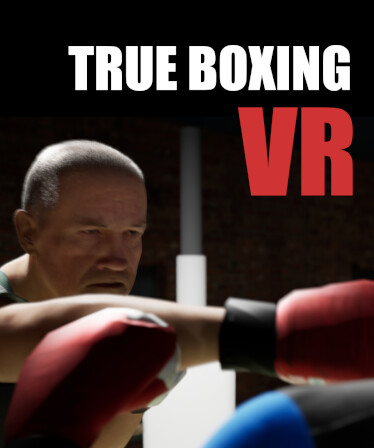 True Boxing VR