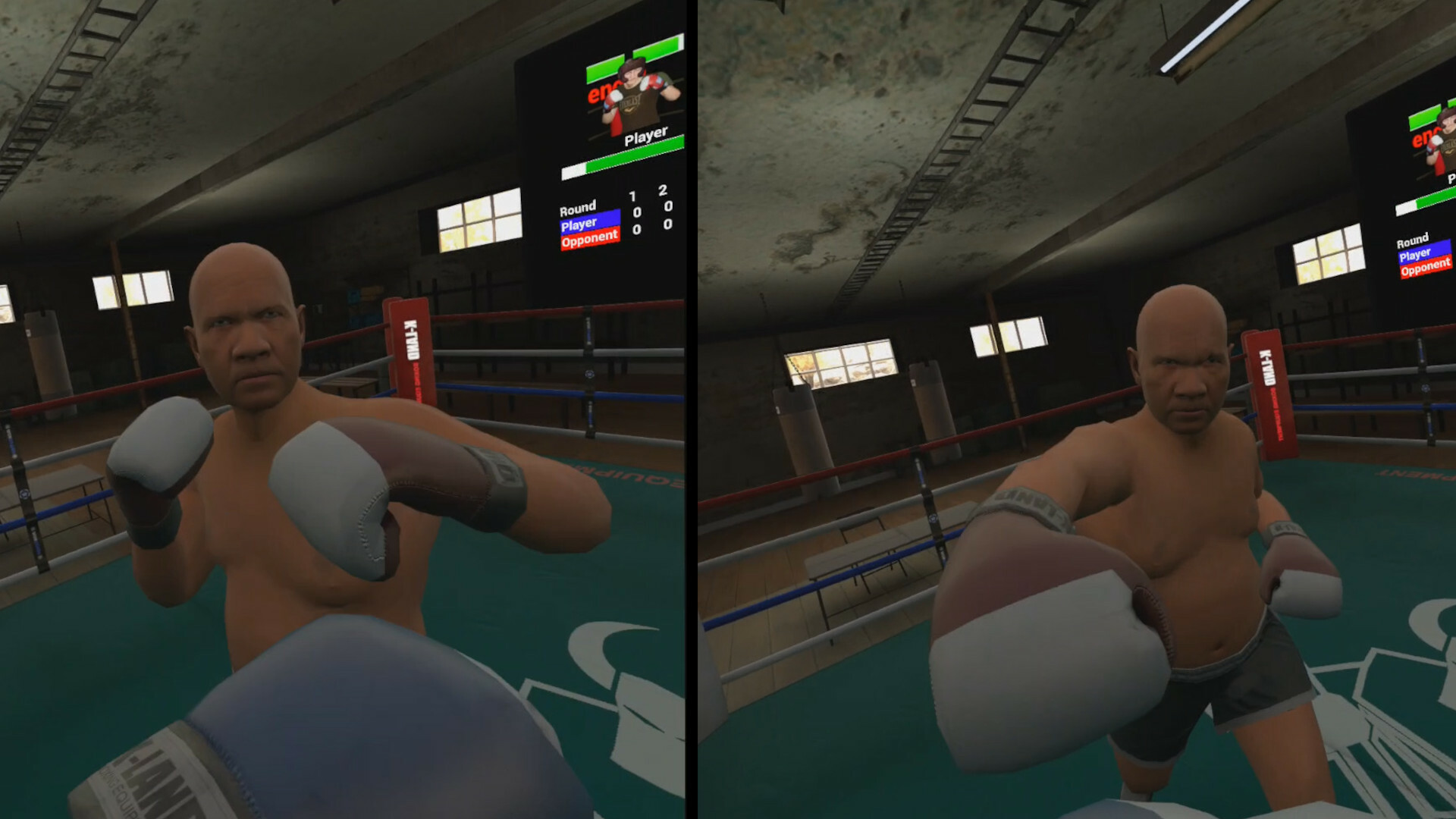 True Boxing VR #8