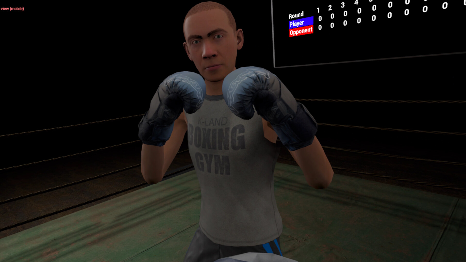 True Boxing VR #7