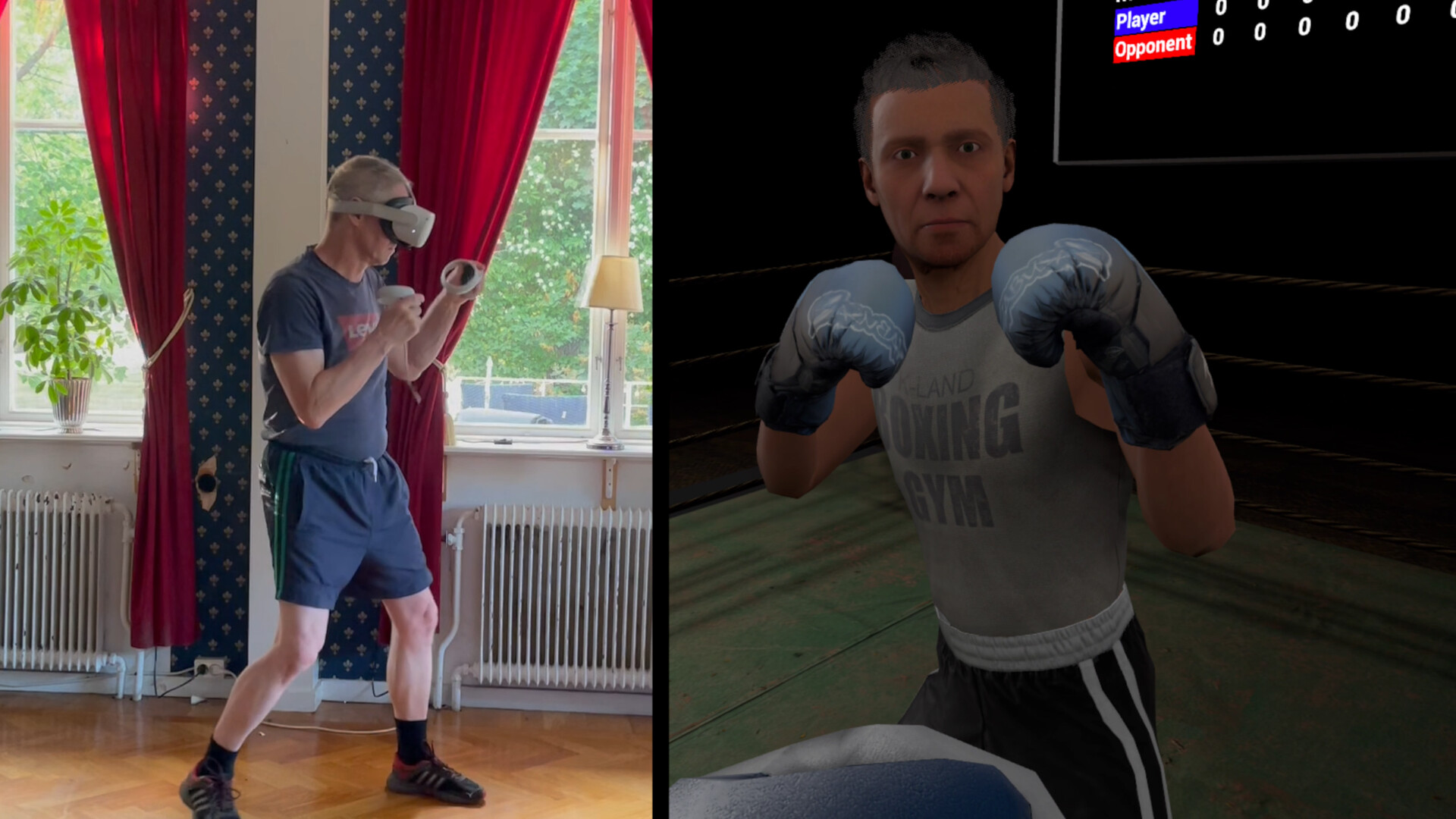True Boxing VR #0