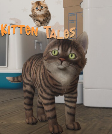 Kitten Tales