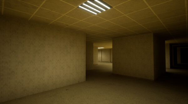 The Backrooms Deluxefor windows and Linux 1