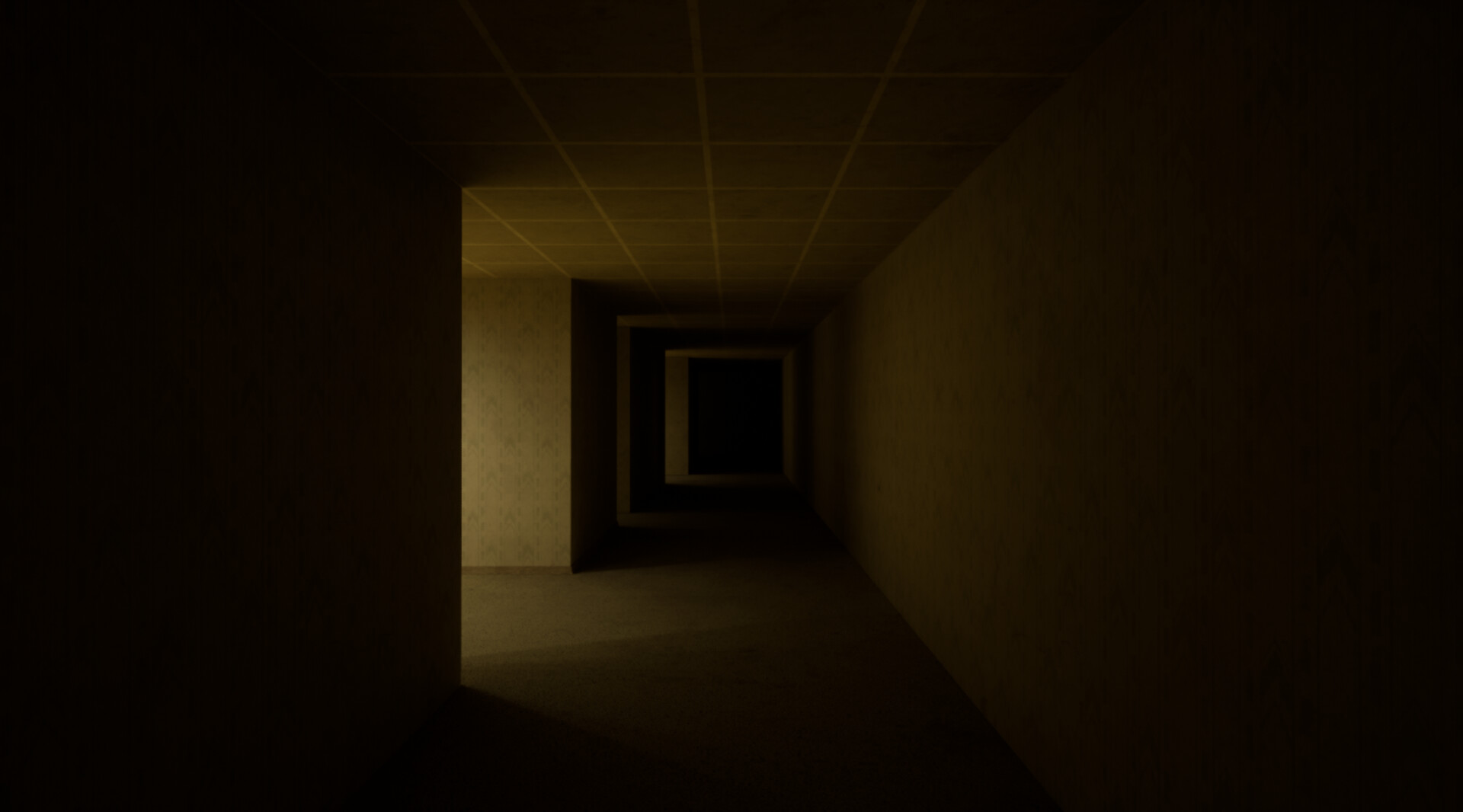 The Backrooms Deluxe #5