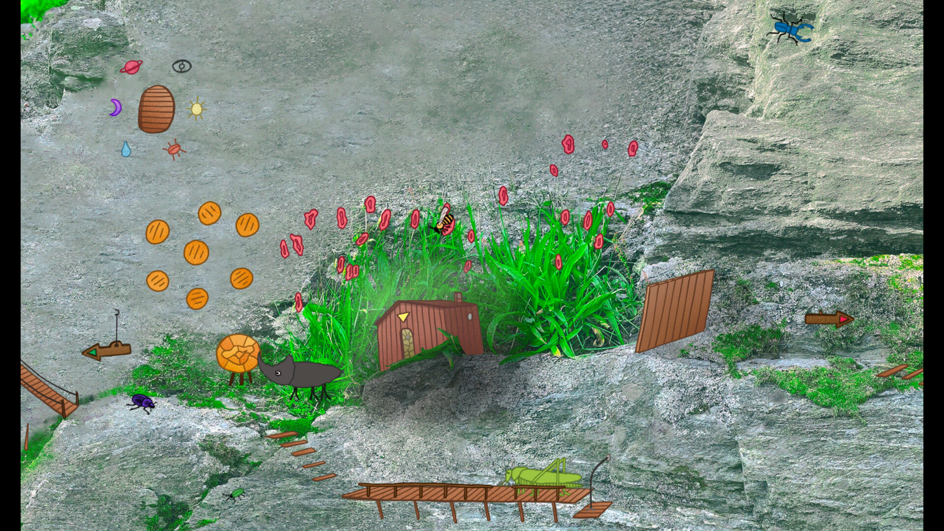 Dung Beetle Adventure #3