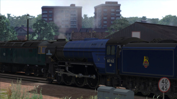 Class A1 'Tornado' Express Passenger Blue Add-on Livery for steam