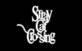 Stray Cat Crossing Trailer 1