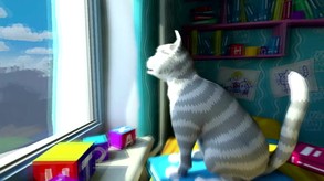 Video of The Cat! Porfirio's Adventure