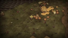 Don't Starve Together- A New Reign: Part 2