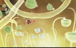Botanicula Trailer