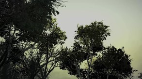 Miniatura de The Walking Dead: The Final Season - Teaser Trailer