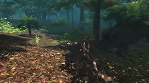 Forest monster video
