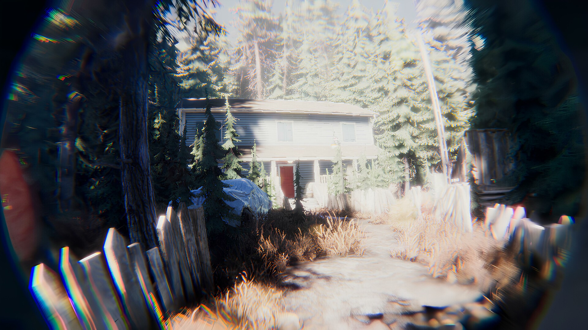 BoneField: Bodycam Horror #3