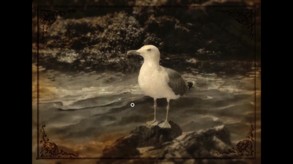 Lammana: The Looe Island Mystery video
