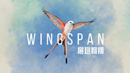 Wingspan 展翅翱翔 (桌遊線上購買及介紹) - Painkiller Boardgame 棋艦
