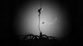 Video of Silt