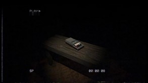 Video of Handy Harry's Haunted House Services