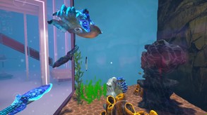 Aquarist - TV Studio update!