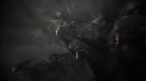 Ender Magnolia: Bloom in the Mist <span class="ext" style="background-color: #2a475e; color: #FFFFFF;">STEAM</span> <span class="ext ext_digital">digital</span> video 1