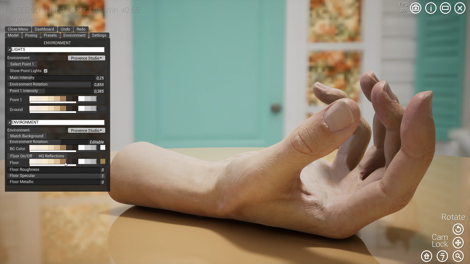 HAELE 3D - Hand Poser Lite #8