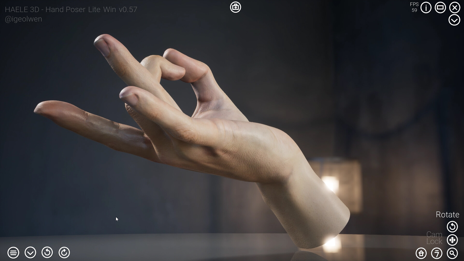 HAELE 3D - Hand Poser Lite #13