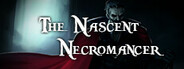 The Nascent Necromancer