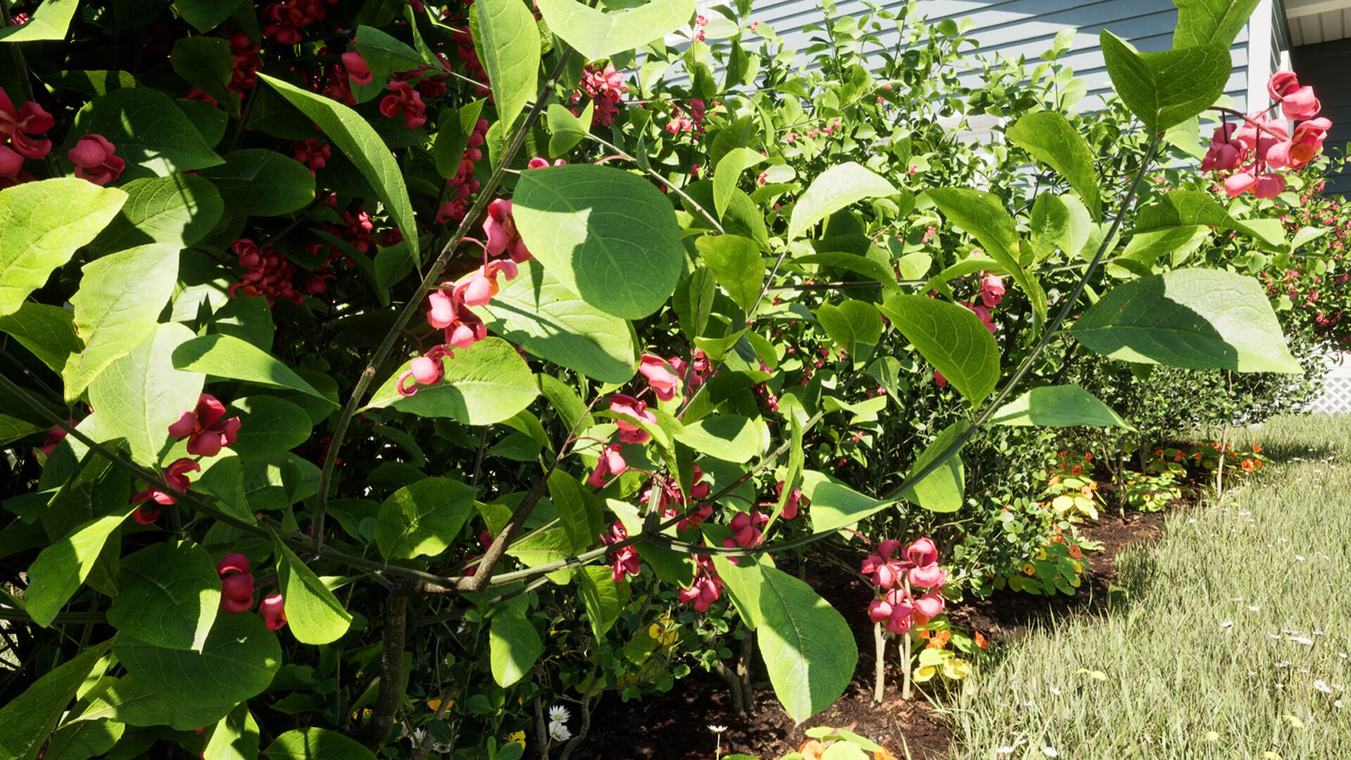 Unreal Lust Theory #17