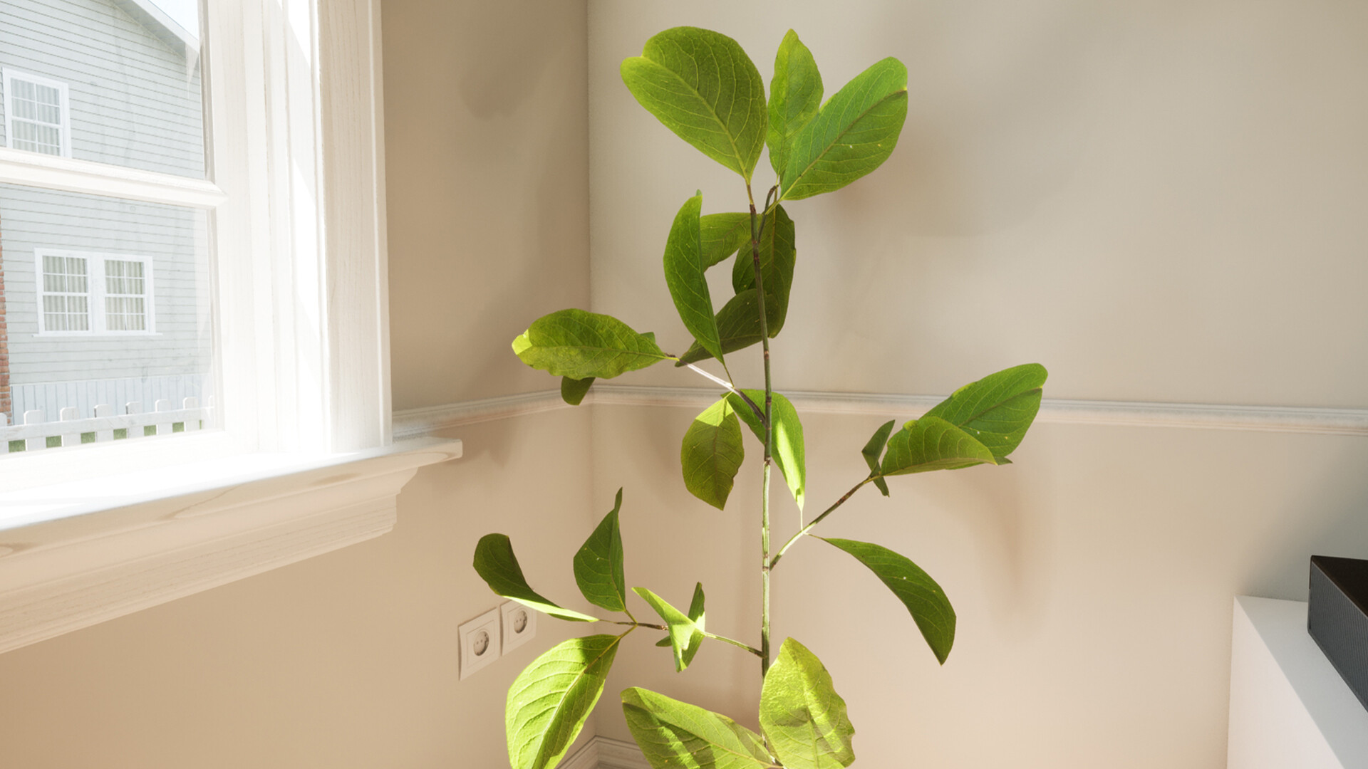 Unreal Lust Theory #21