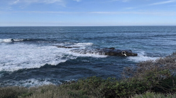 Marcella Moon: Killer at the Covefor windows and Linux 1