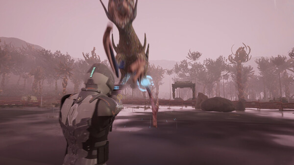 SUNSET OF ATEfor windows and Linux 1