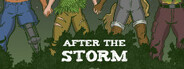 After the Storm