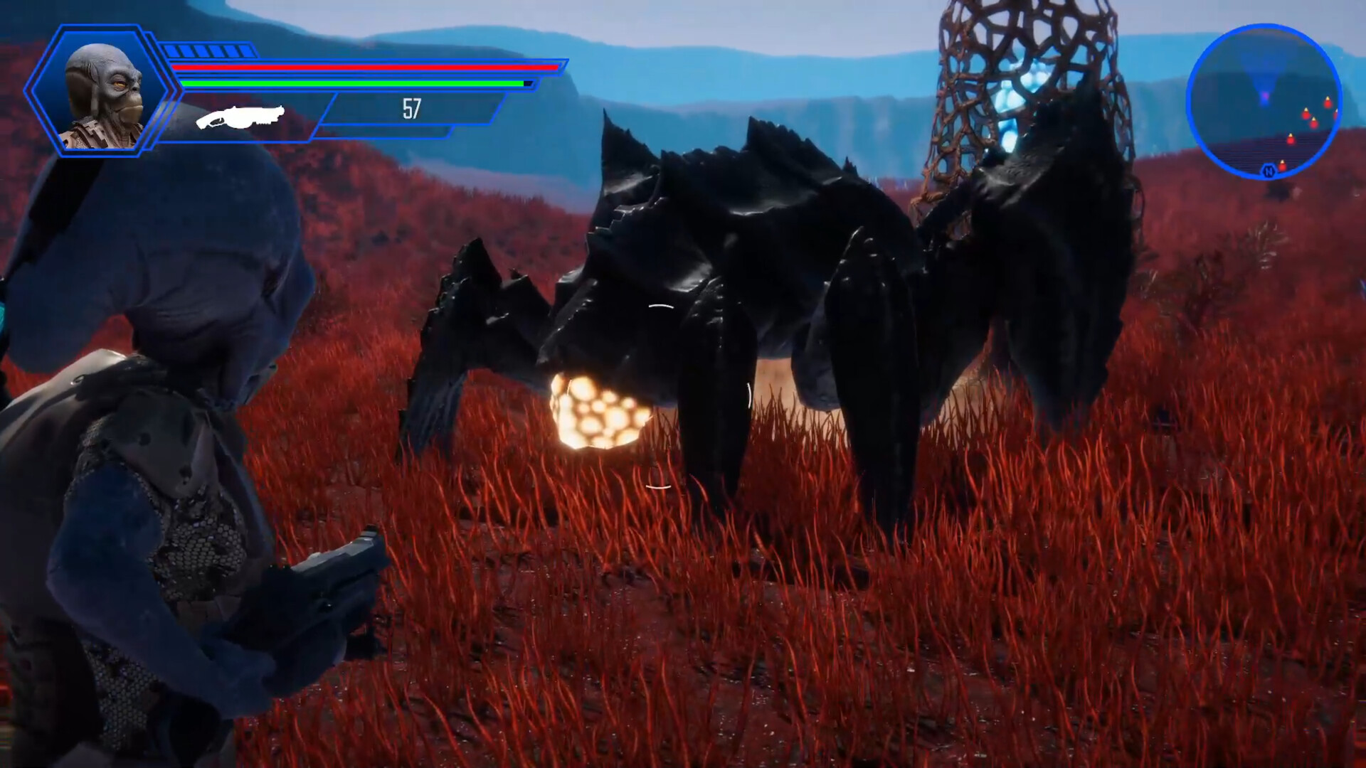 Stellar Ghosts Settlers #8