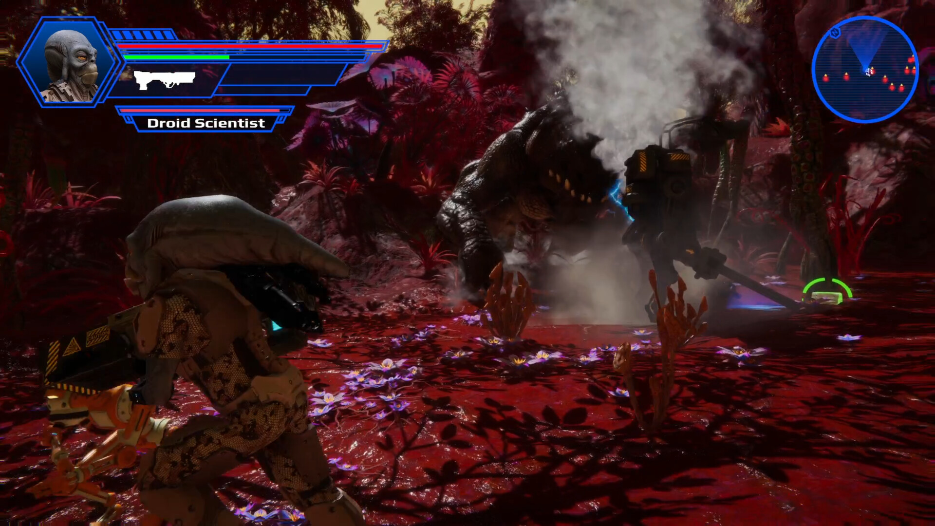 Stellar Ghosts Settlers #12