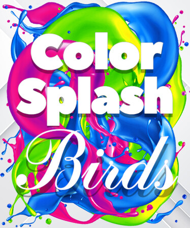 Color Splash: Birds