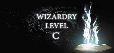 Image for Wizardry Level C