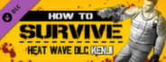 Heat Wave DLC - Kenji's pack