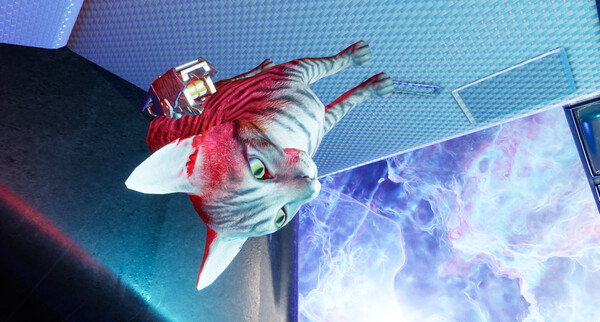 Скриншот из Space Cat DLC